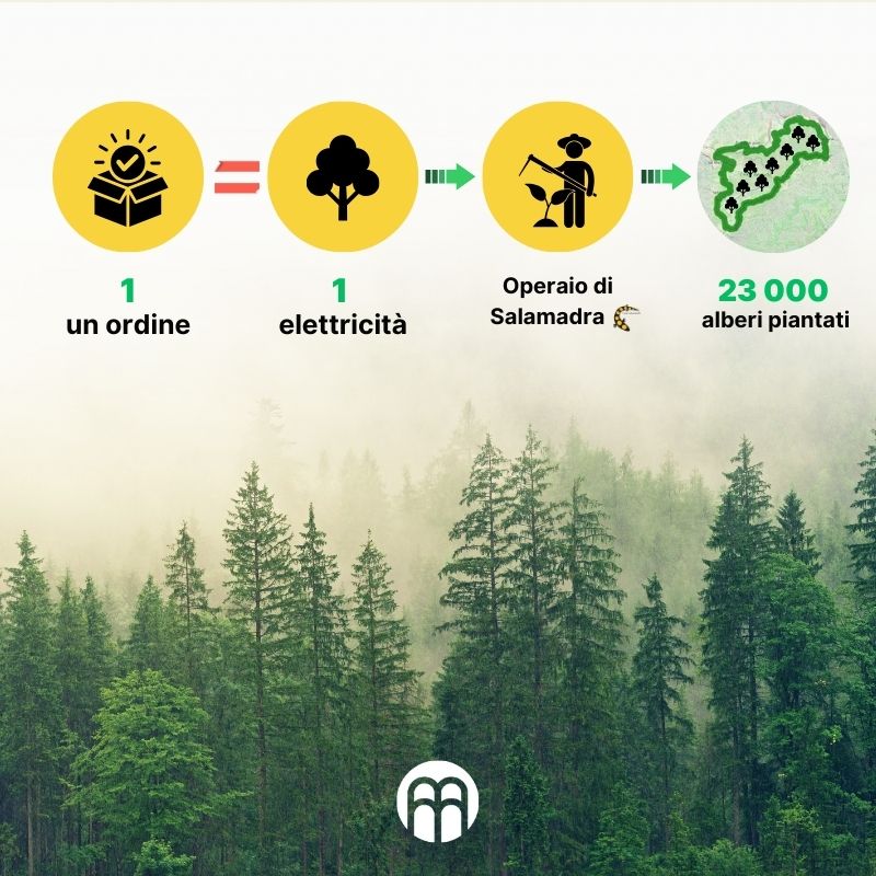 (Italština) Vysazování stromů